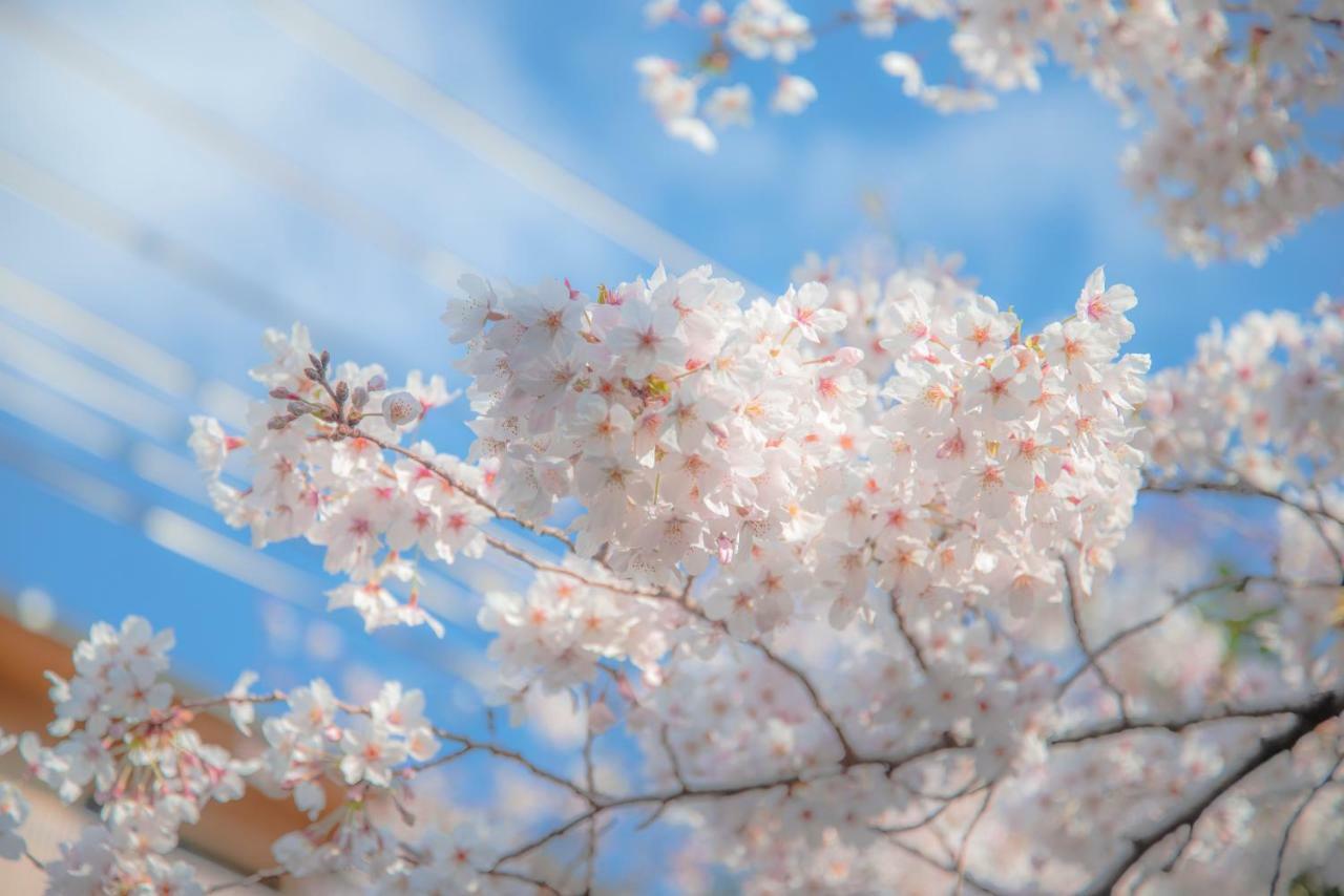 Kyoto Takasegawa Bettei Hotell Eksteriør bilde
