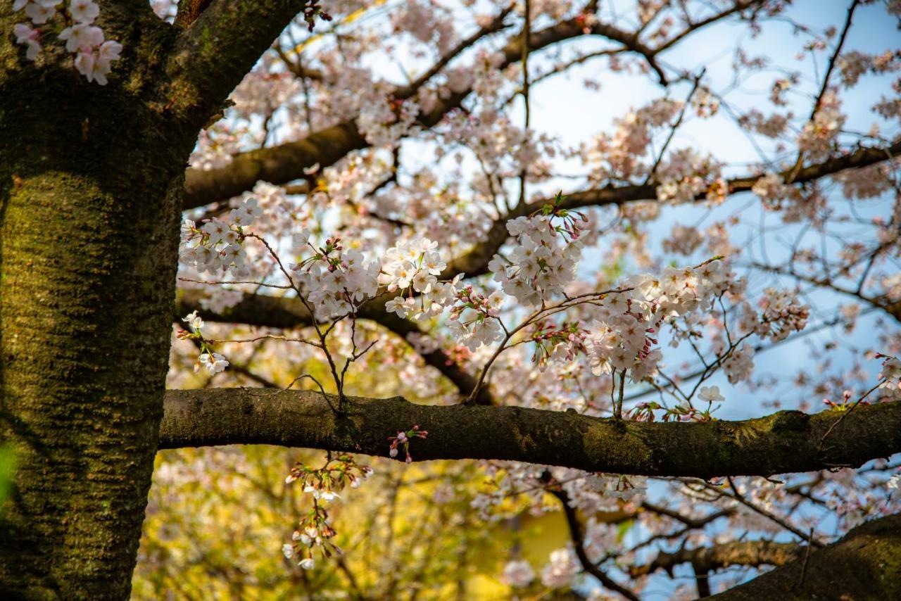 Kyoto Takasegawa Bettei Hotell Eksteriør bilde